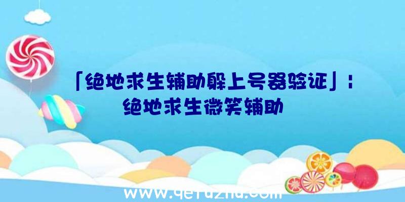 「绝地求生辅助躲上号器验证」|绝地求生微笑辅助